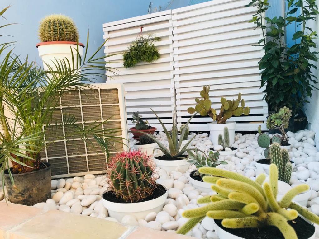 La Casa Del Pescatore 夏卡 外观 照片